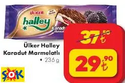 ÜLKER HALLEY KARADUT MARMELATLI • 236 G